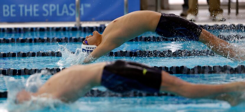 Keller's Leran Chang starts off his team in the 200-yard relay in the UIL boys 6A swim...