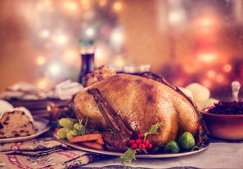 Traditional German holiday goose dinner with dumplings, red cabbage and stollen