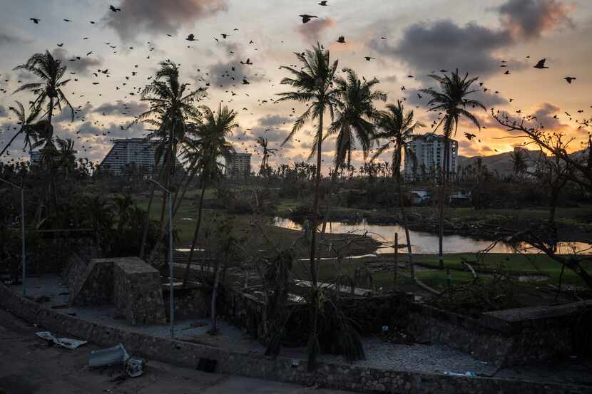 Pájaros volando sobre los escombros que dejó el huracán Otis en Acapulco, México, el 28 de...