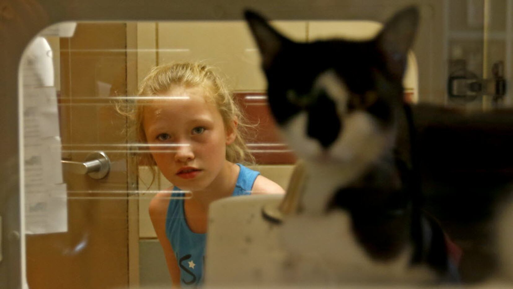 Jayden Robinson, 7, takes a look at a cat awaiting adoption at the shelter.