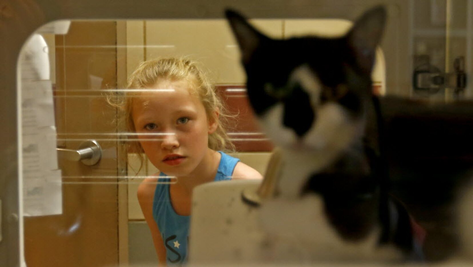 Jayden Robinson, 7, takes a look at a cat awaiting adoption at the shelter.