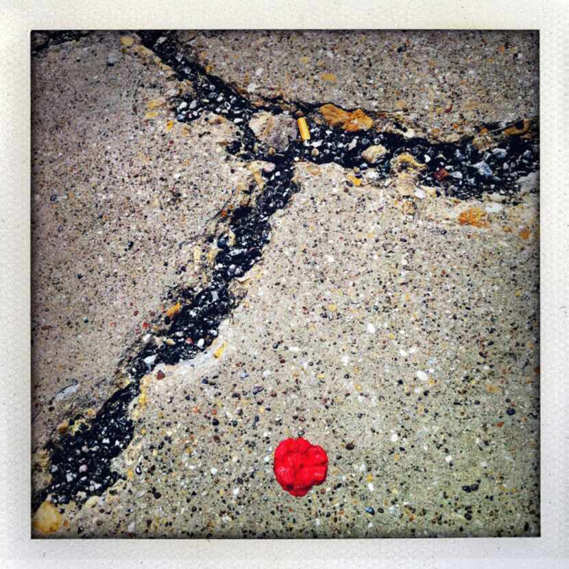 Sidewalk with red gum