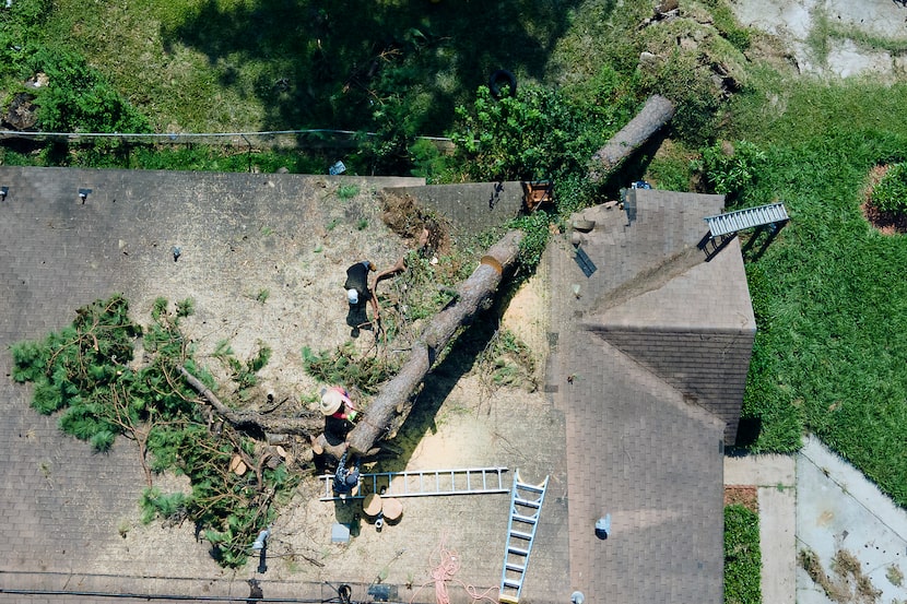 Employees of Premier Home Improvement remove a tree from the roof of a house in the...