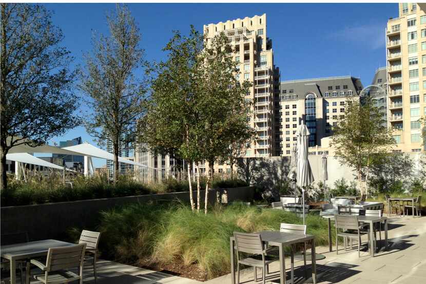 The rooftop garden at the new McKinney & Olive tower is a private oasis for office workers.