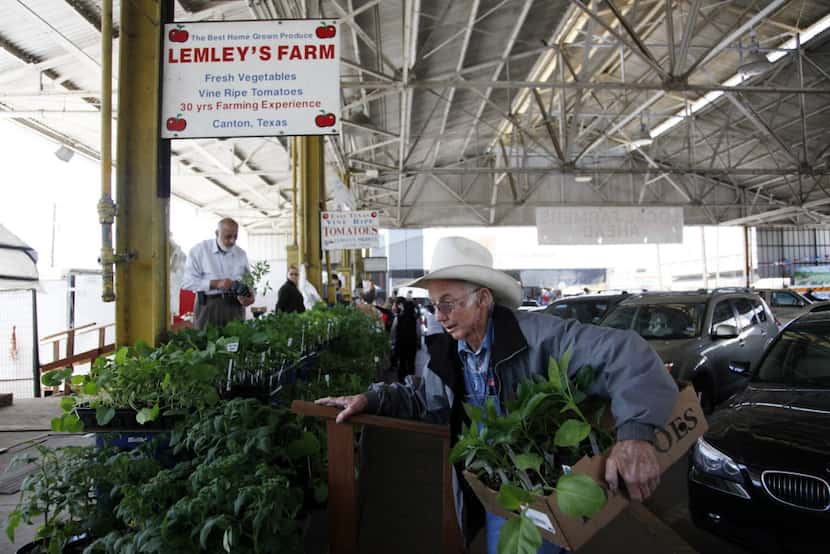 J.T. Lemley of Lemley's Farm gathers tomato plants for a customer at the Lemley's Farm stand...