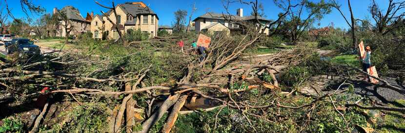 Downed trees and branches littered Pemberton Drive in Preston Hollow last October after a...