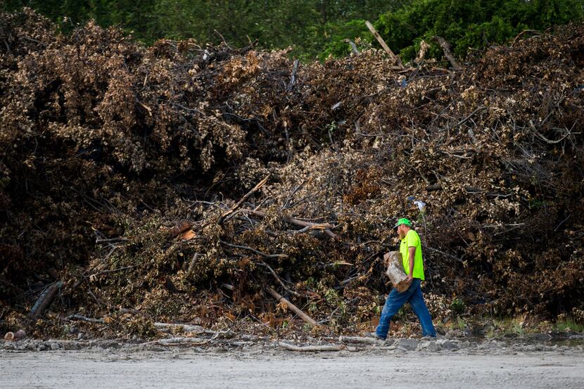 A worker adds a log to a large pile of debris collected after recent storms on Friday, June...