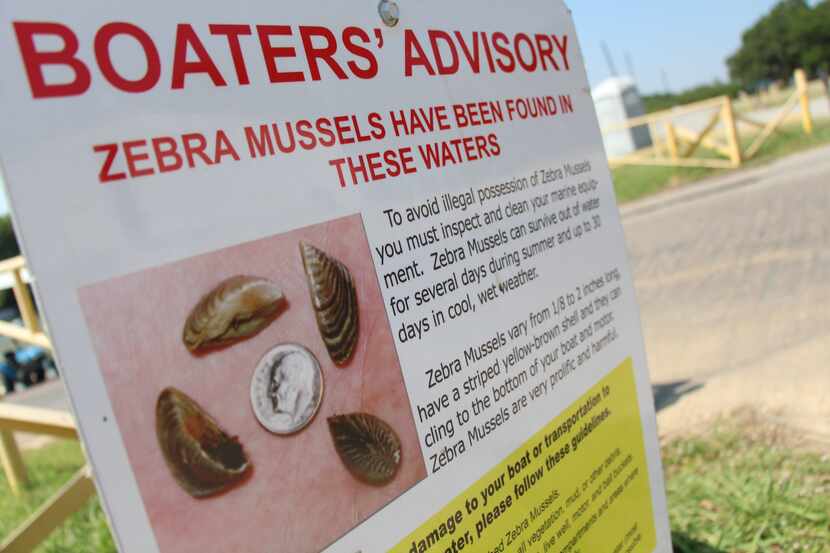 A sign alerting boaters to the presence of zebra mussels is displayed around Lewisville...