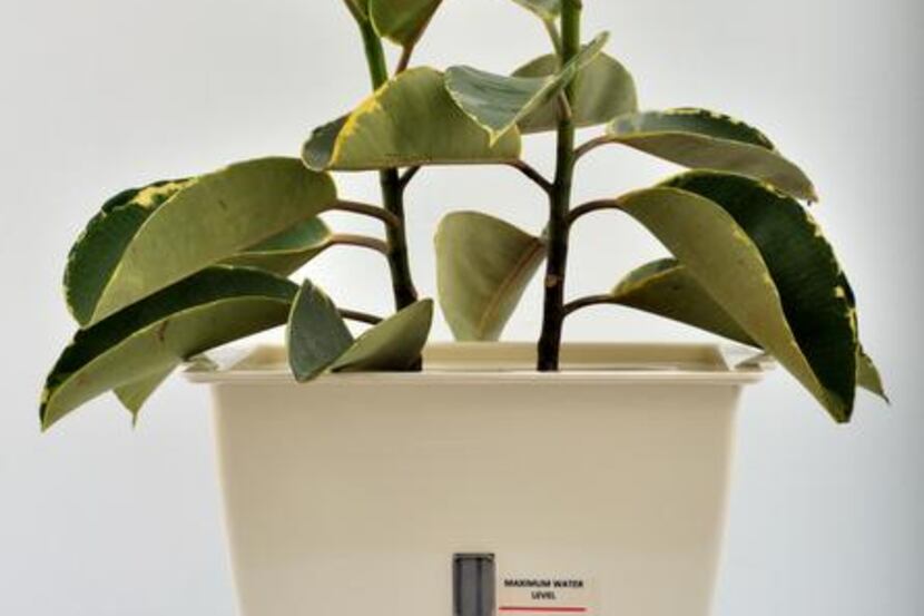 
Plant Air Purifier is an air-filtration system that includes a planter with a built-in...
