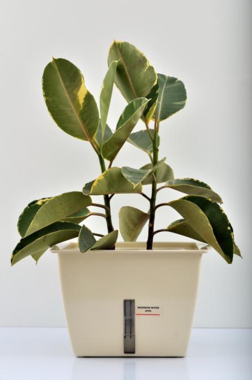 
Plant Air Purifier is an air-filtration system that includes a planter with a built-in...