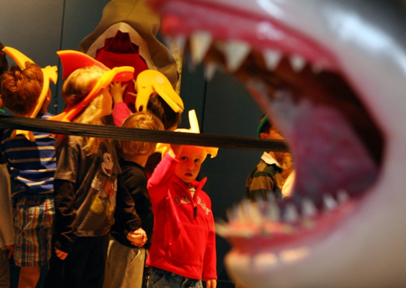 Jaws wide open: Jared Ashford, 4, (center) and his classmates got a sneak peek Thursday at...