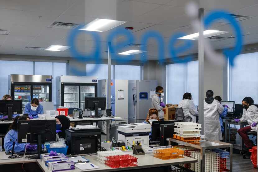 GeneIQ lab technicians and assistants work at the GeneIQ lab testing firm in The Colony. The...