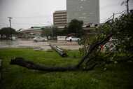 A utility pole and tree limbs lay on the ground on as the street lights stop working on...