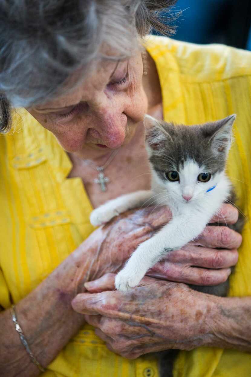 Dottie Lemmond held a kitten before the yoga class.