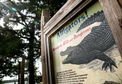 A sign warning about the presence of alligators stands near the shore of Caddo Lake.
