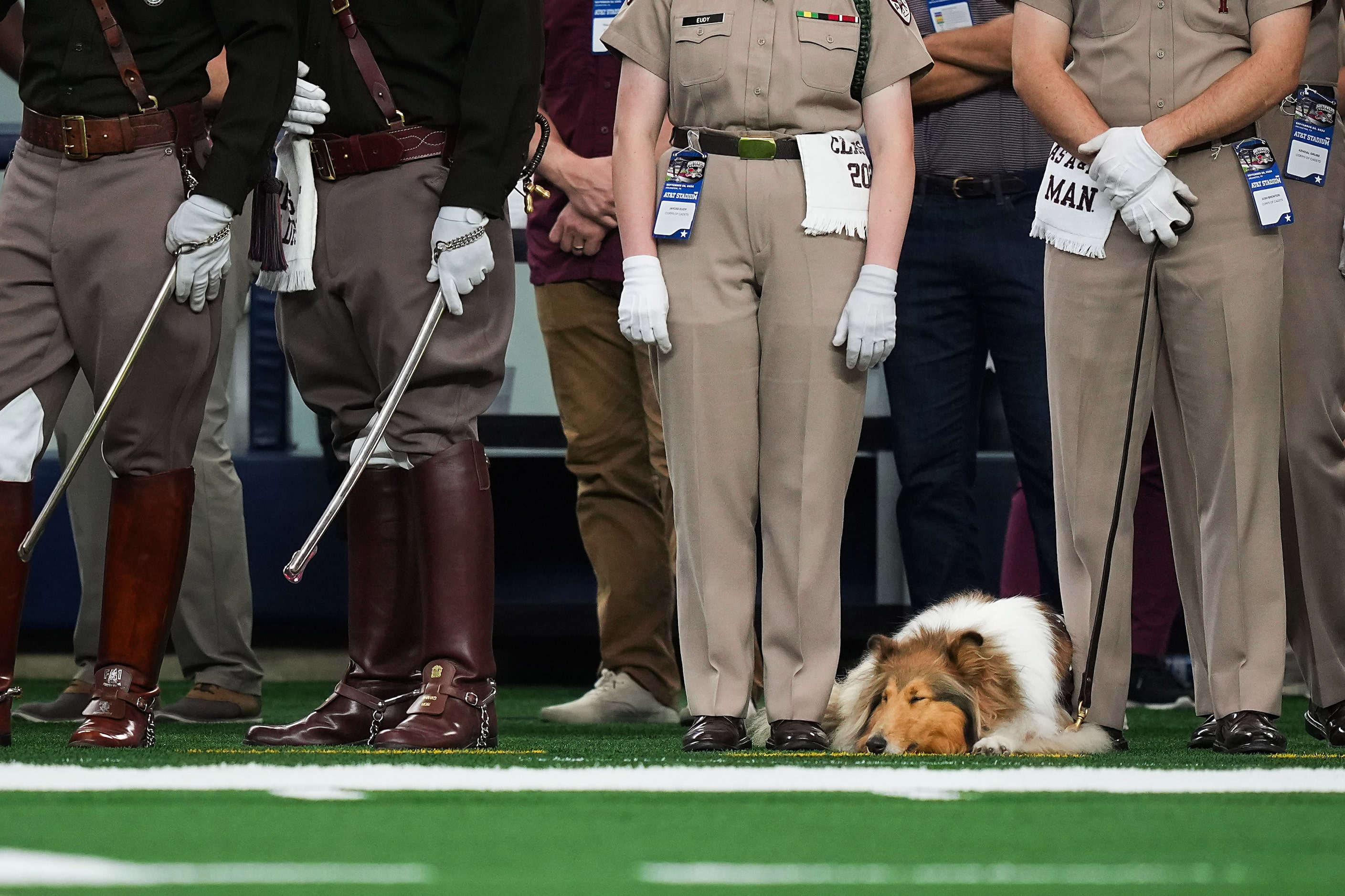 Texas A&M mascot Reveille X watches from the sidelines during the second half of an NCAA...