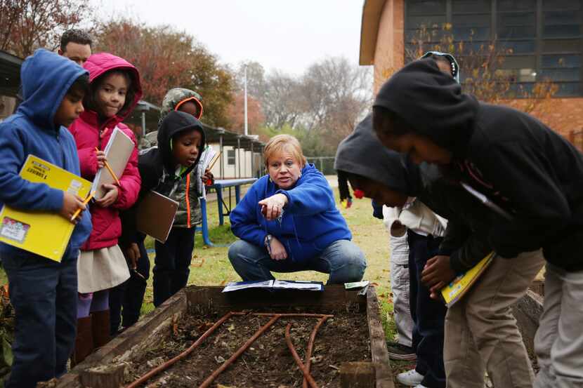 Dayle Henderson (center), a first grade teacher, instructs students in planting seeds in the...