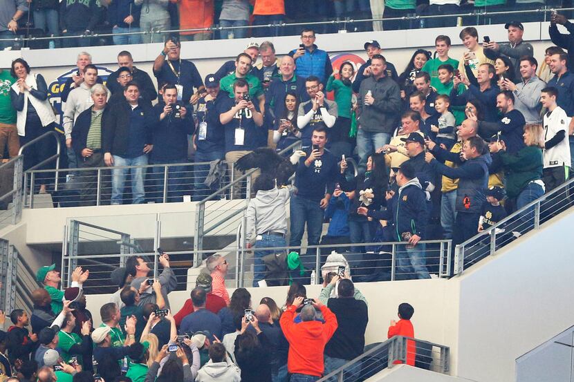 A Notre Dame Fighting Irish fan celebrates after an eagle mistakenly landed on a fan during...