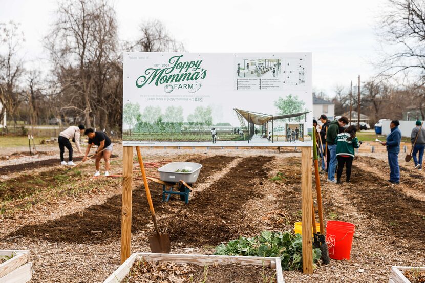 Volunteers work at the community garden Joppy Momma's Farm in Dallas on Saturday, Feb. 18,...