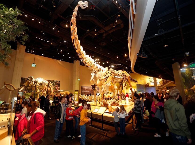 Crowds look up at an Alamosaurus in the dinosaur exhibit at the Perot Museum of Nature and...