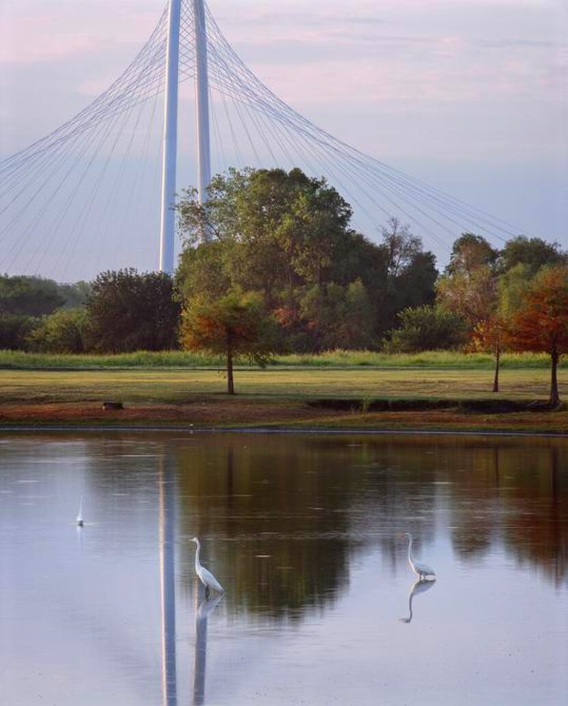 
Trinity Awakening, Crow Lake by Scot Miller is included in “The Changing Nature of Dallas.”
