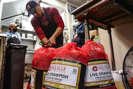 Reyes Corro opens the sack of fresh crawfish to wash them before cooking and serving them at...