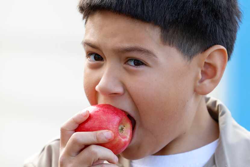 Intern Pedro Cuevas, 12, gets a bite of an apple as his after school snack at La Tiendita on...