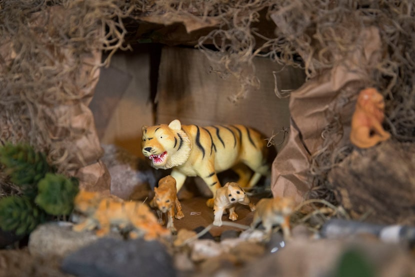 Toy tigers are part of a Nativity scene built by Carmen Meza in her home. 