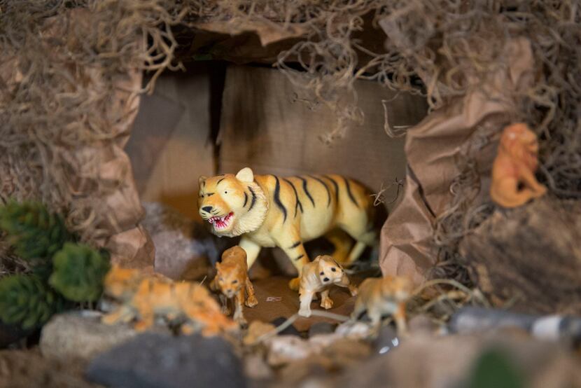 Toy tigers are part of a Nativity scene built by Carmen Meza in her home. 