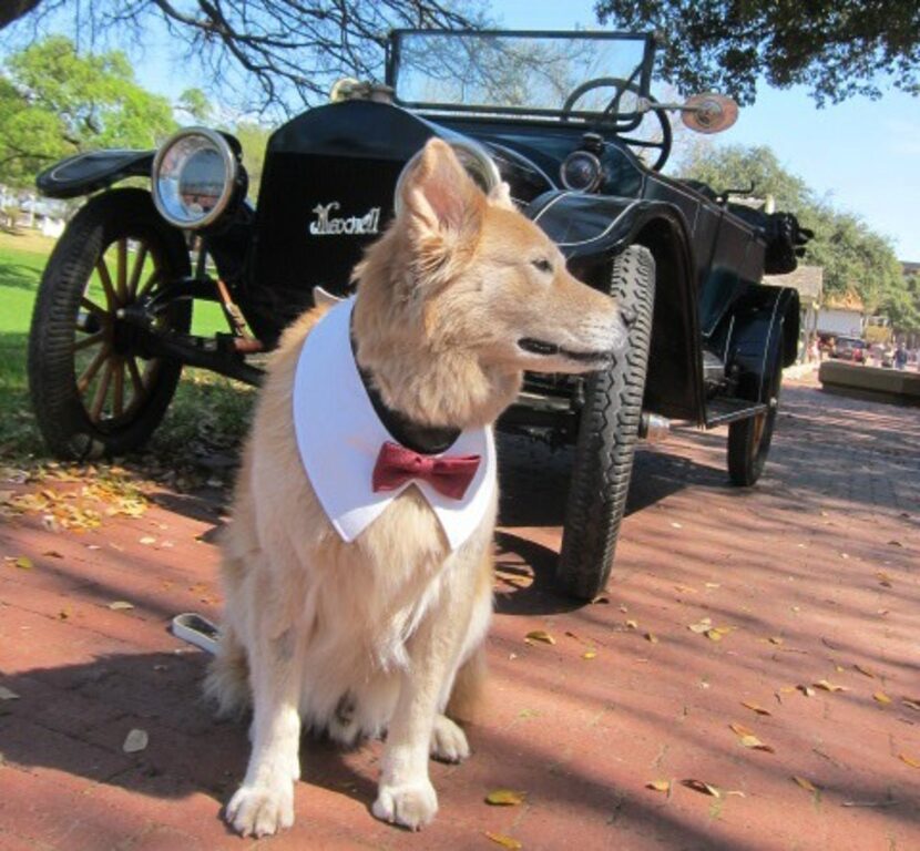 BK strikes a pose at Dallas Heritage Village. 