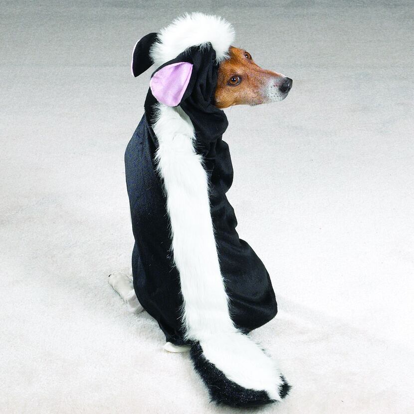 PetEdge's skunk costume for dogs is available in small to extra-extra-large. Suggested...