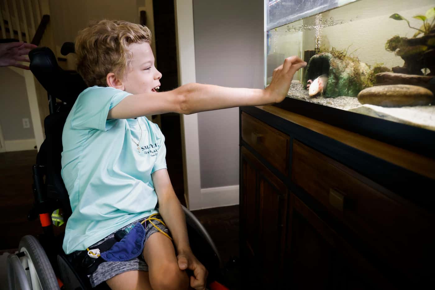 Will Woleben, 11, waves to his pet axolotl Will Jr. at his home in McKinney on Monday, May...