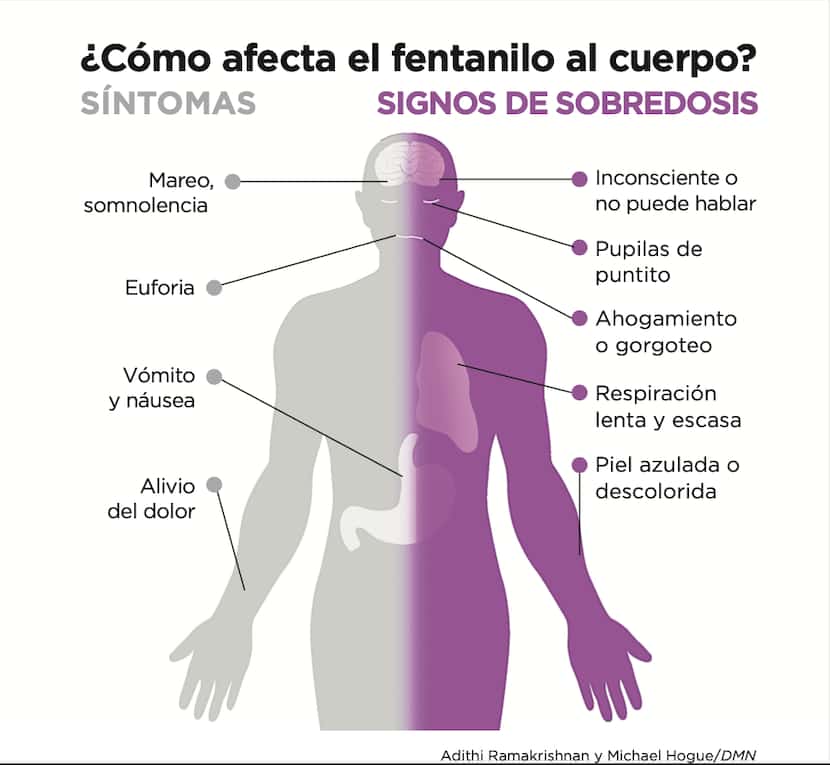¿Cómo afecta el fentanilo al cuerpo? 


Síntomas: 

Mareo, somnolencia 

Euforia 

Vómito y...