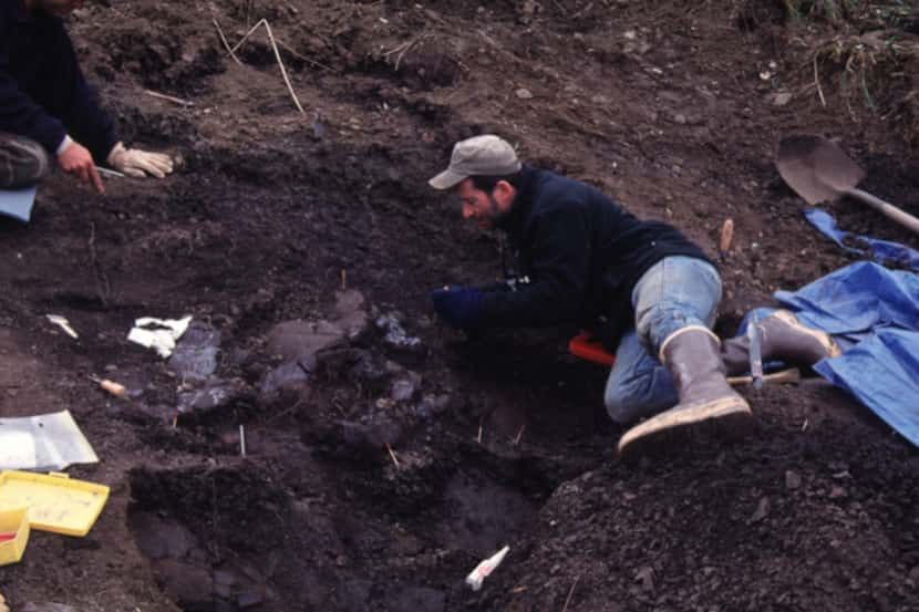 Anthony Fiorillo excavates a Pachyrhinosaurus perotorum at a quarry in Alaska.