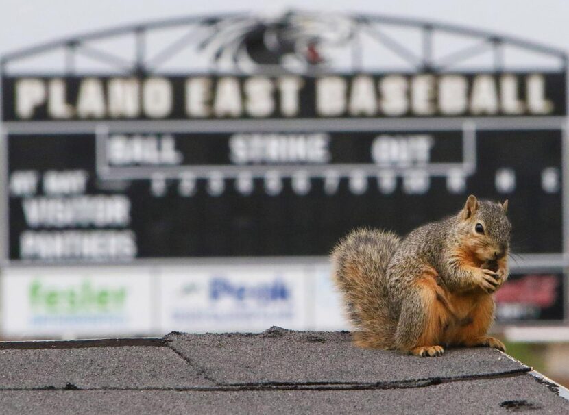 
In the last couple of years, artificial turf and a new scoreboard have been added to the...