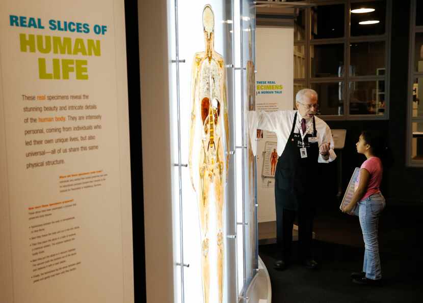 Docent Paul Ellenbogen talks about one of the slices of human life with Sylvia Rodriguez, 9,...