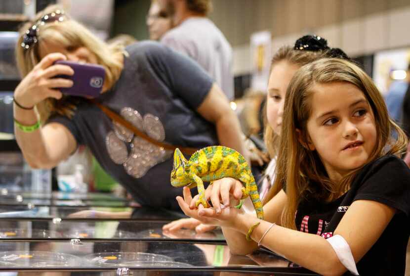 
Alaina Richards (right), 6, held a veiled chameleon alongside her friend Mataya Turner, 7,...