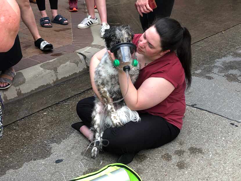 Laura Wadsworth, de 31 años, abraza a su mascota Winnie luego que este fue rescatado por los...