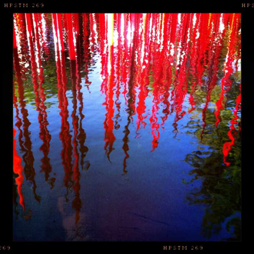 Chihuly's Red Reeds are reflected in a circular pond outside the Alex Camp House of the...
