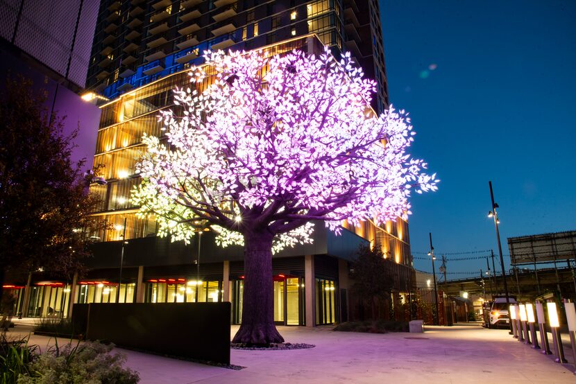 The Tree of Ténéré glistens outside of the Epic in Deep Ellum in downtown Dallas, Texas.