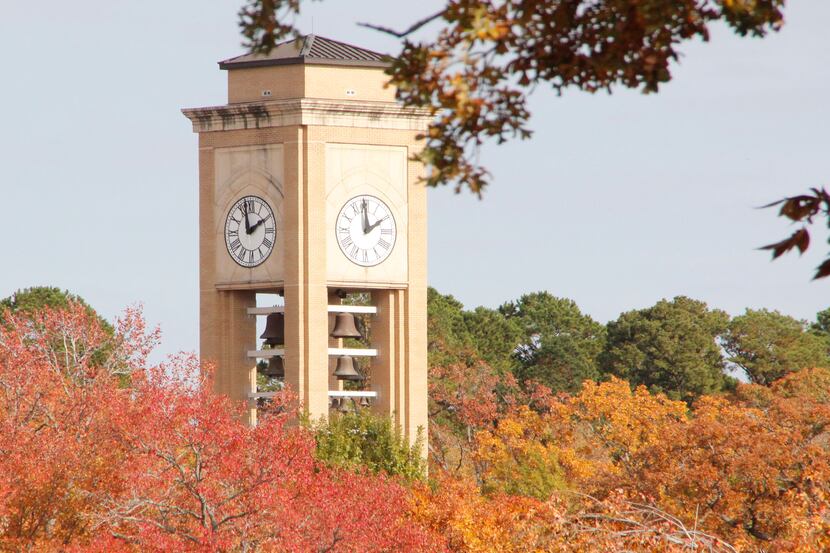 The University of Texas at Tyler currently has 306 international students.