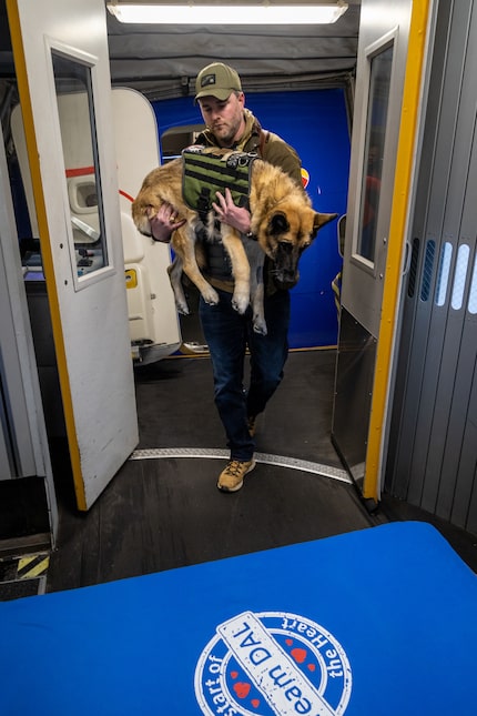 Kaya and her handler Cole Lyle.