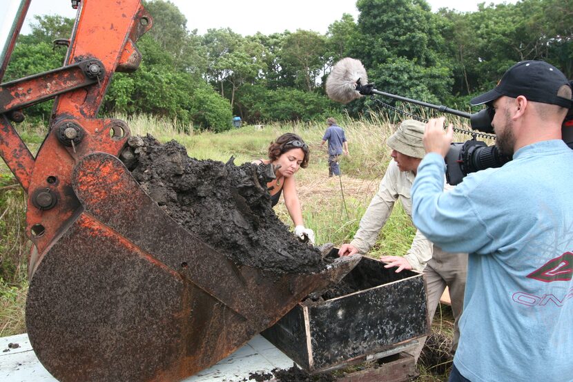 Beth Shapiro, colossal scientific advisory board member and lead paleogeneticist, searching...