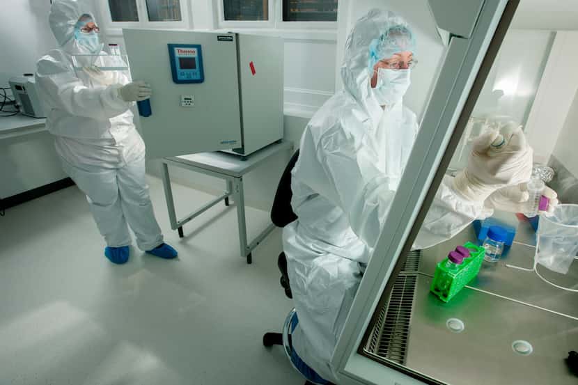 Two researchers process samples in Eske Willerslev's ancient DNA cleanlab at the University...