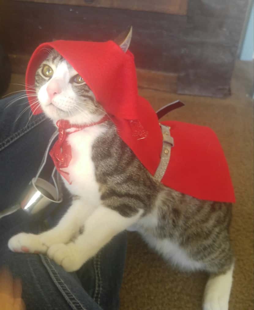 My, what cute eyes Omega as Little Red Riding Hood has!
