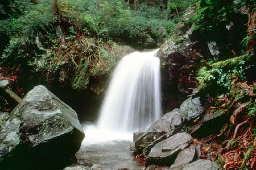 
Grotto Falls is one  of the many waterfalls to discover in Great Smoky Mountains National...
