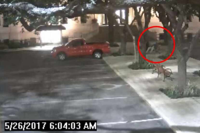 Security footage shows San Antonio Councilman Alan Warrick passing out on a park bench last...