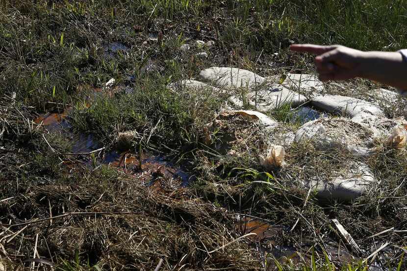 Sandbags have been placed  at the site of a “sand boil” to combat seepage beneath the...