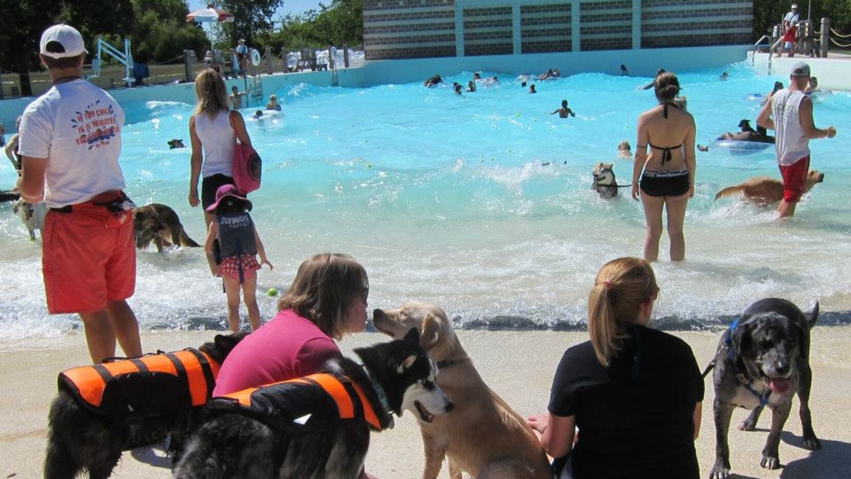 Dog About Town: Hitting the beach and more things to do with your