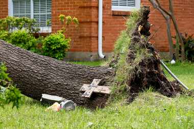 A cross is seen on a large uprooted tree in the Casa Linda neighborhood after severe...